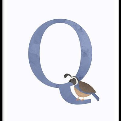 Alfabeto Q - Póster enmarcado - 20 x 30 cm