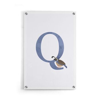 Alphabet Q - Affiche encadrée - 20 x 30 cm 5