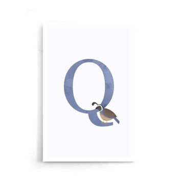 Alphabet Q - Affiche encadrée - 20 x 30 cm 7