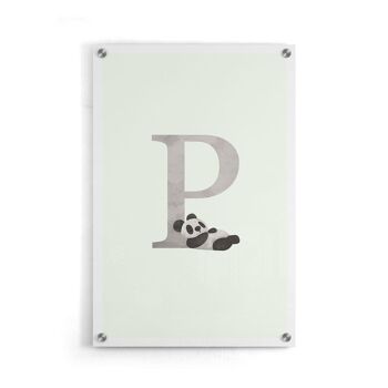 Alphabet P - Plexiglas - 30 x 45 cm 6