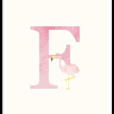 Alphabet F - Poster - 40 x 60 cm