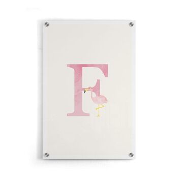 Alphabet F - Plexiglas - 30 x 45 cm 5