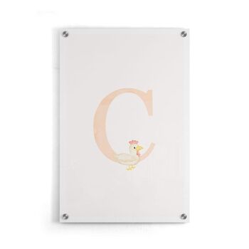 Alphabet C- Affiche - 20 x 30 cm 5