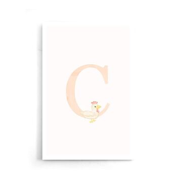 Alphabet C- Affiche - 20 x 30 cm 7