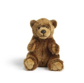 Ours Brun - Peluche Living Nature 2