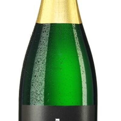 2020 Riesling sparkling wine, dry