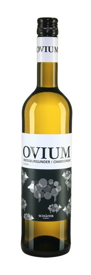2021 OVIUM Pinot Blanc / Chardonnay