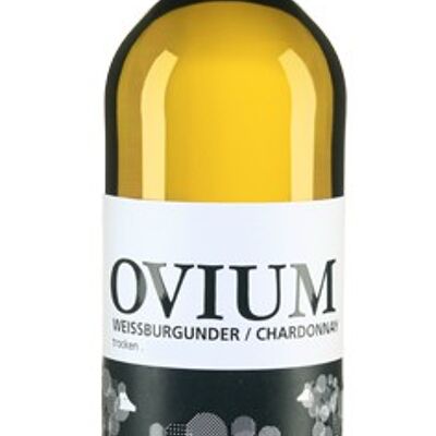2021 OVIUM Weißburgunder / Chardonnay