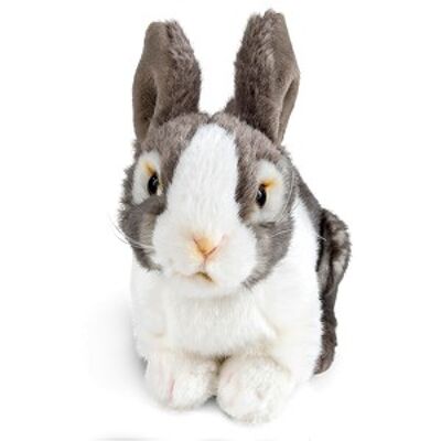 Conejo de compañía gris - Peluche naturaleza viva