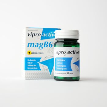 Viproactive® MagB6 2