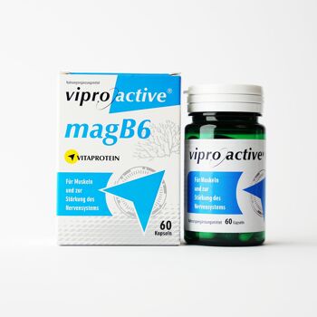 Viproactive® MagB6 3