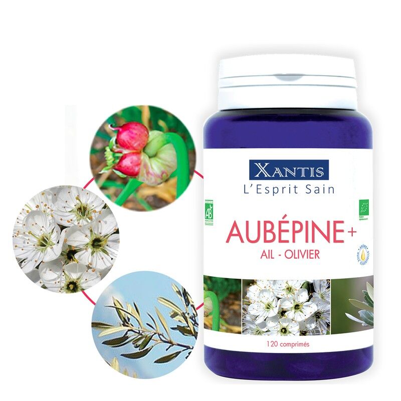 BIANCOSPINO + XANTIS