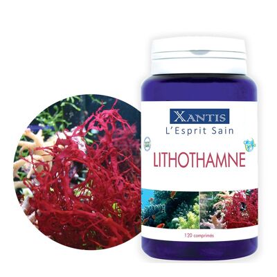 Lithothamne xantis