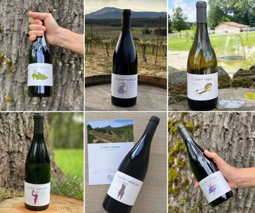 Coffret découverte vins du Languedoc - 5 vins rouges et 1 vin blanc - AOP Pic Saint-Loup - IGP Saint-Guilhem-le-Désert - Vin de France