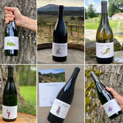 Coffret découverte vins du Languedoc - 5 vins rouges et 1 vin blanc - AOP Pic Saint-Loup - IGP Saint-Guilhem-le-Désert - Vin de France