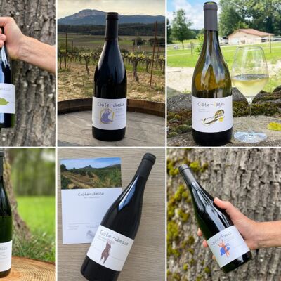 Scatola scoperta del vino della Linguadoca - 5 vini rossi e 1 vino bianco - AOP Pic Saint-Loup - IGP Saint-Guilhem-le-Désert - Vin de France