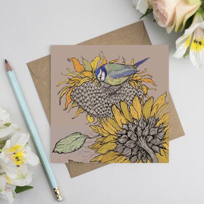 Blue Tit and Sunflower