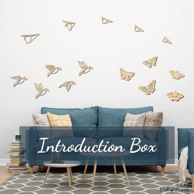 Introduction Box