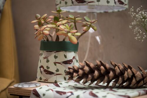 House Sparrow Print Plant Pot