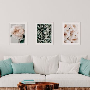 Ensemble de 3 affiches « Flower Dream » | 30x40