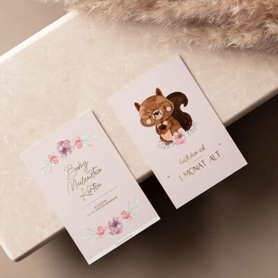 Cartes jalons - Animaux roses