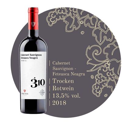 310 ° Cabernet Sauvignon-Feteasca Neagra