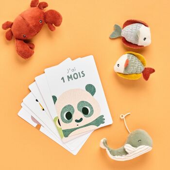 Cartes étapes « Ma première année » - Mois anniversaires et premières fois 3