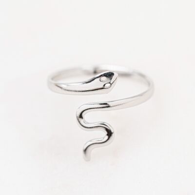 Cleyden ring - silver