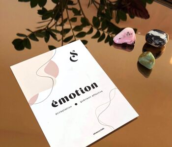 KIT EMOTION - acceptation et guérison affective 4