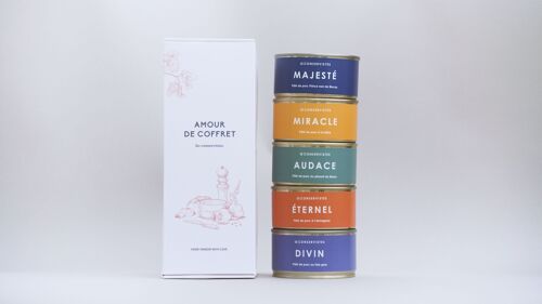 COFFRETS COMPLET 5 boites DE PÂTÉ DE CAMPAGNE 130g