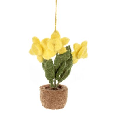 Pot o' Flowers - Daffodil
