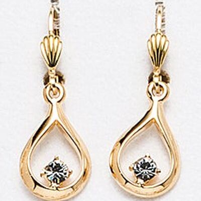 Gold plated earrings