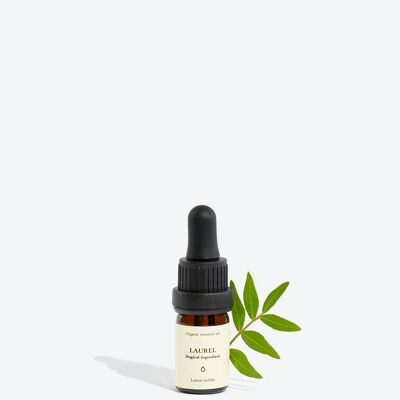 Laurel Essential Oil – 5 ml
