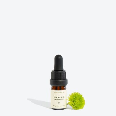 Geranium Essential Oil – 5 ml