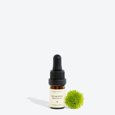 Eucalyptus Essential Oil – 5 ml