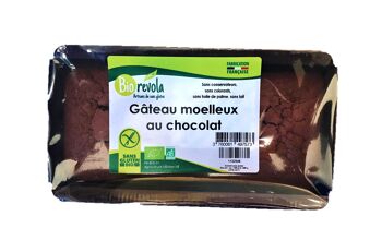 Gateaux moelleux au chocolat bio