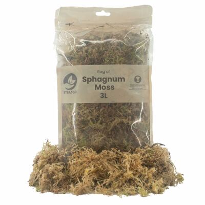 Sphagnum moss | 3L | Propagation | Terrarium | Many uses | Ready to use