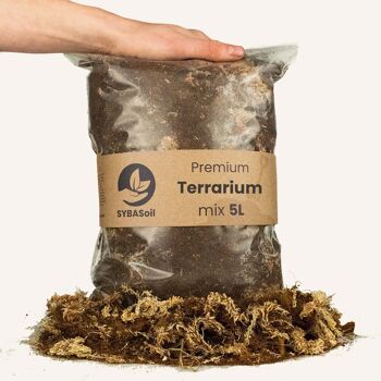 Mélange pour terrarium | 5L | Terrarium bricolage | Construisez votre propre terrarium 3