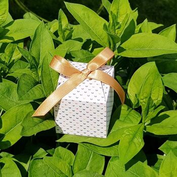 LOU Boîte cadeau réutilisable - Couleur Papillon 3