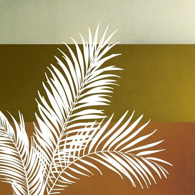 Palm Canvas Print 40 X 50