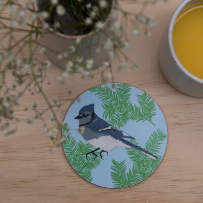 Untersetzer mit Blue Jay-Print