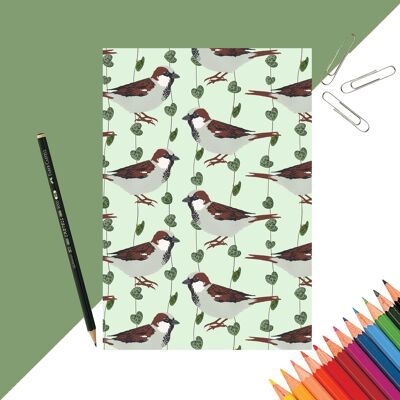 House Sparrow Notebook
