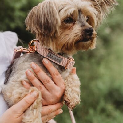 Dog Collar: Blush Stripe