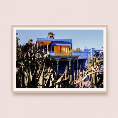 Photographie - Jardin Majorelle | Marrakech Maroc