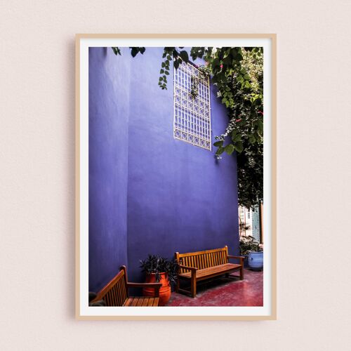 Photographie - Jardin Majorelle | Marrakech Maroc