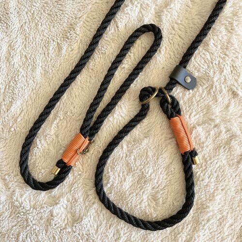 Laisse lasso twist kishu - noir & orange