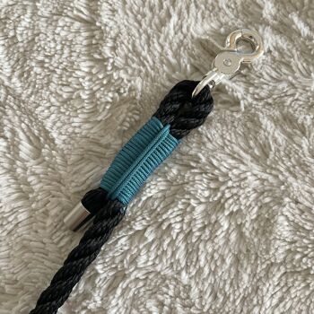 Laisse lasso twist kishu - noir & teal 2