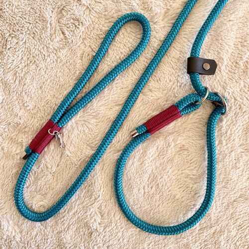 Laisse lasso kishu - aqua & burgundy