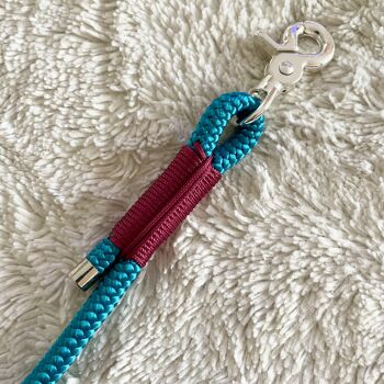 Laisse lasso kishu - aqua & burgundy 2