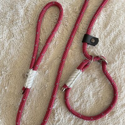 REFLECTIVE LASSO LEASH KISHU - RASPBERRY & WHITE